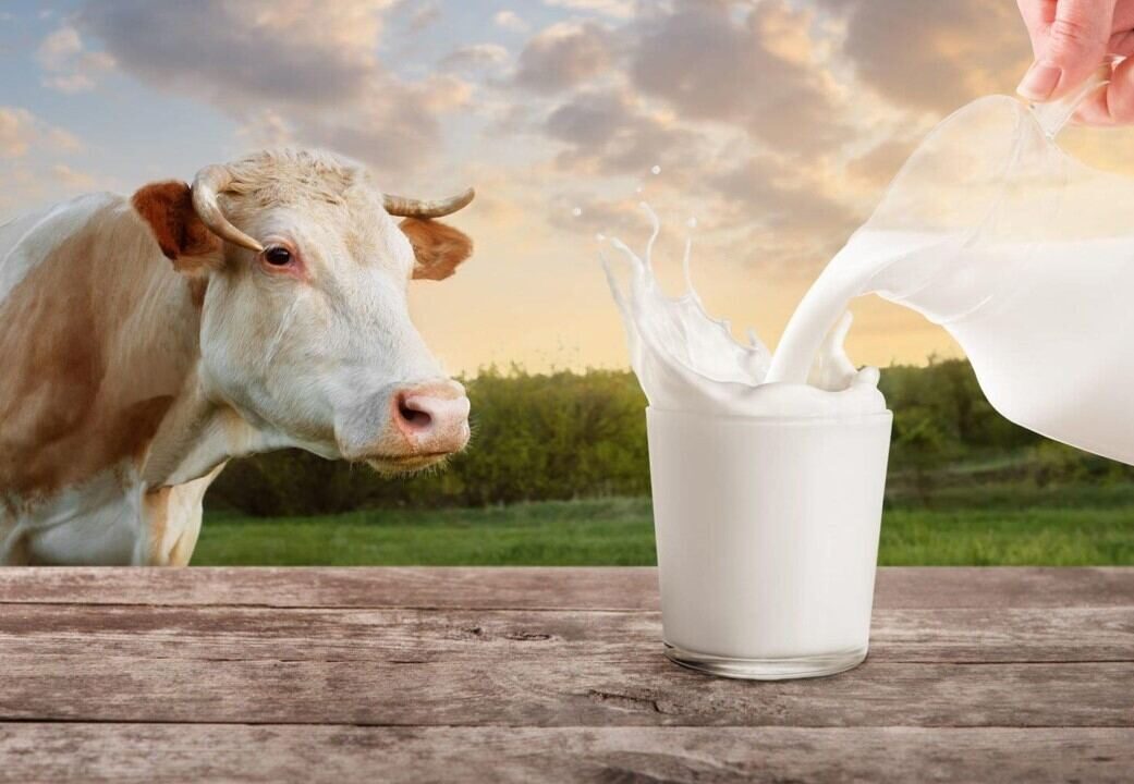 GAF Dairy Benchmarking · змінити правила гри у молочному бізнесі